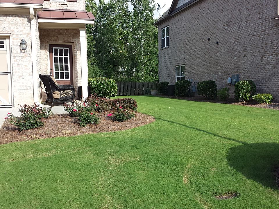 Beautiful Lawn