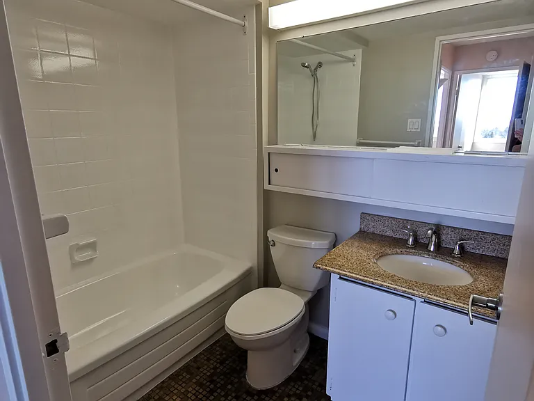 The main / full bathroom