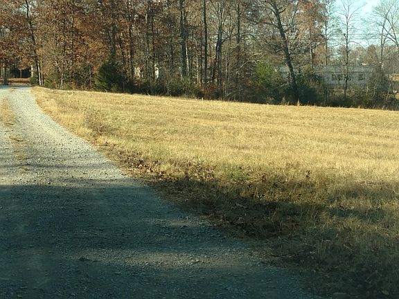 Potential cow/horses?