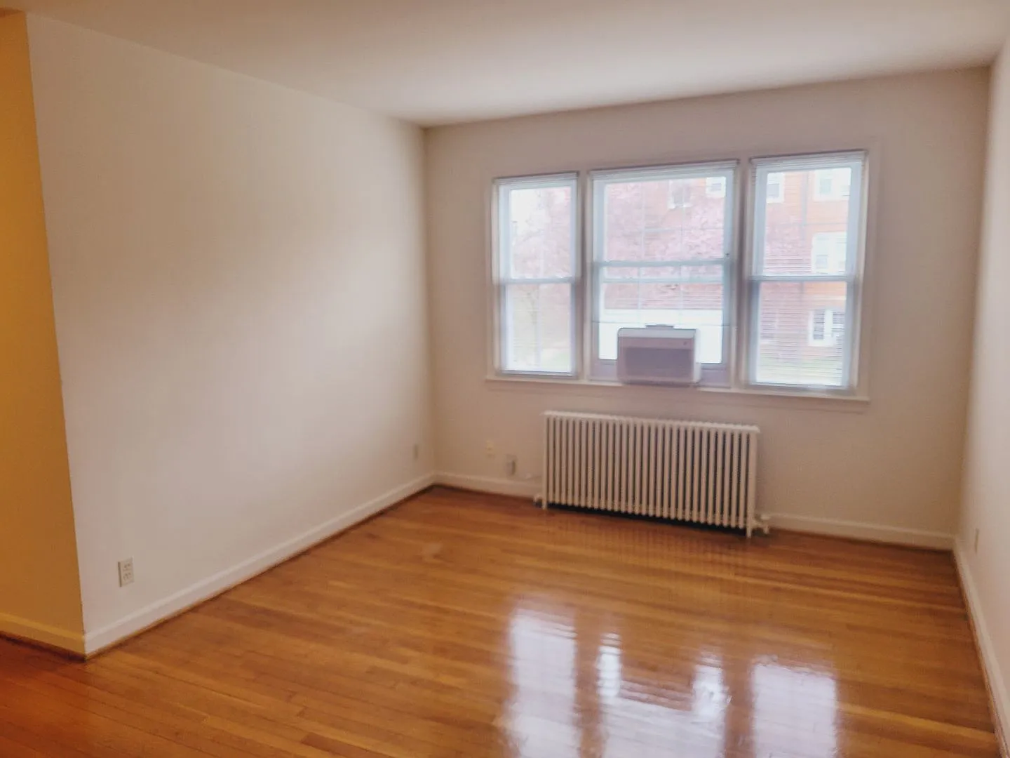 Lee Albemarle Apartments — Photo 4
