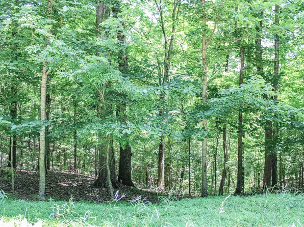 0 Algonquin Rd, Eddyville, KY 42038
