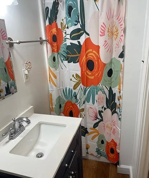Shower stall. New sink as of one year ago.