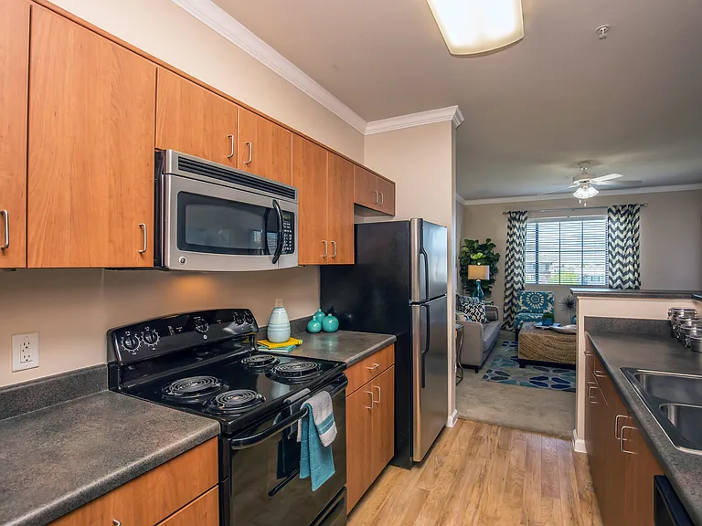 1F1 859-871 SQ FT 1 Bed 1 Bath