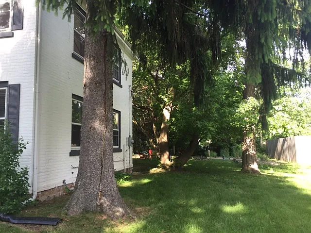 1 bed, 700 sqft, $2,400 — Photo 2