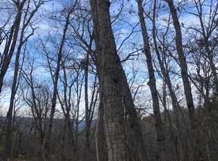 Ryan Rd, Basye, VA 22810