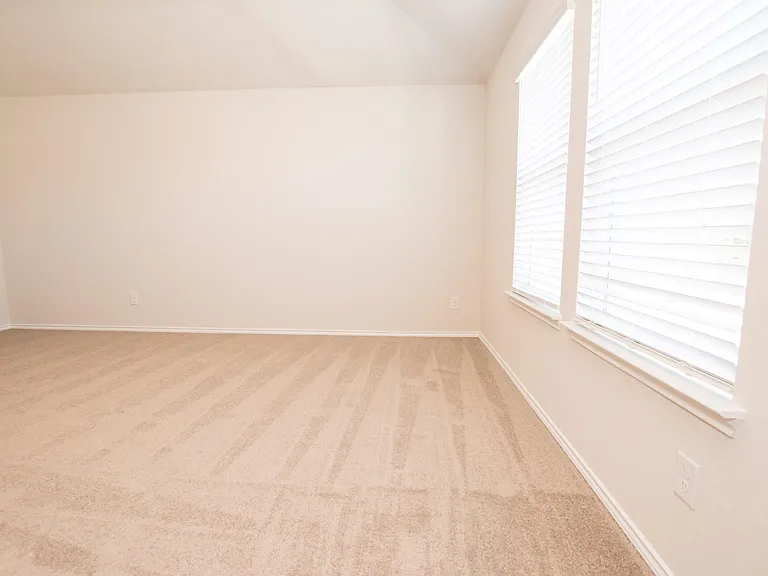 4811 Vogesite Path — Photo 8