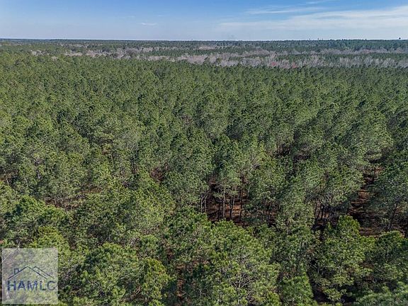 3rd image of 2 Ben Giddens Rd