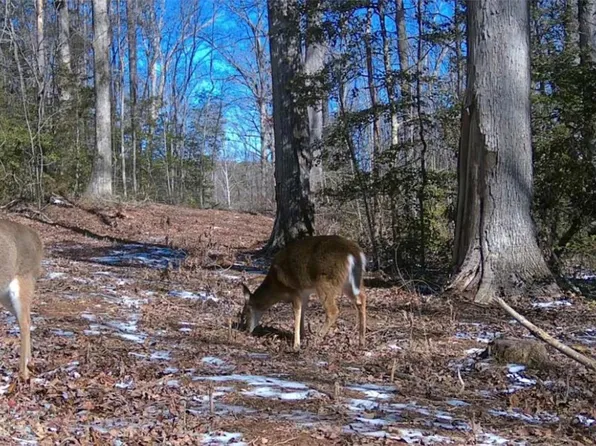 4 Pickens Dr, Pendleton, SC 29670