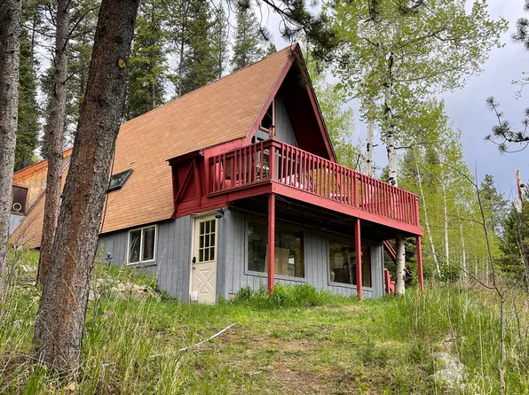 146 Hummer Dr, Nederland, CO 80466