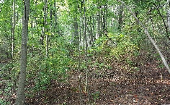 Best deal in Lakewood!