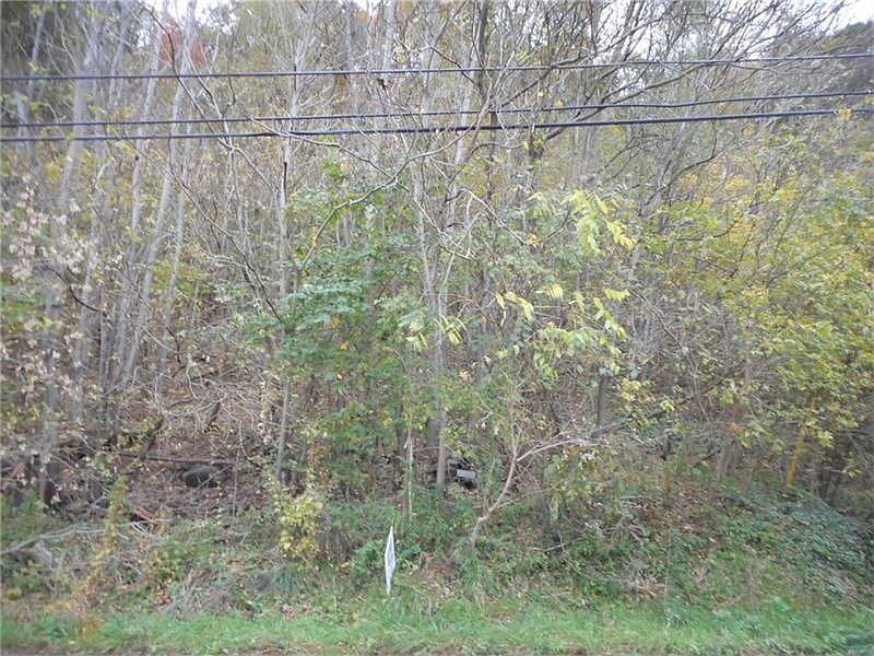 2nd image of 344 Alicia Rd