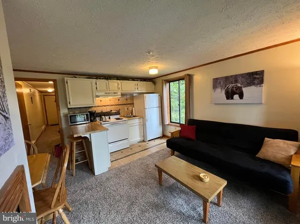 155 E Valley Point Ln #1232, Claysburg, PA 16625