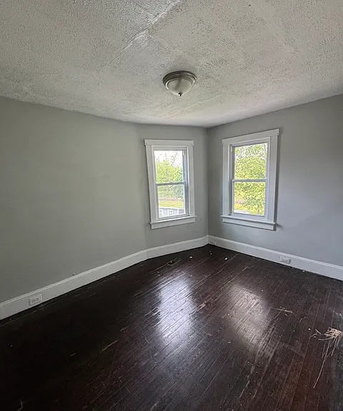 255 Hollywood Dr — Photo 10