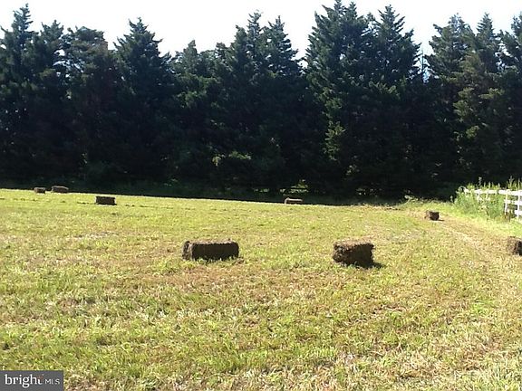 5th image of 14135 Cooley Rd