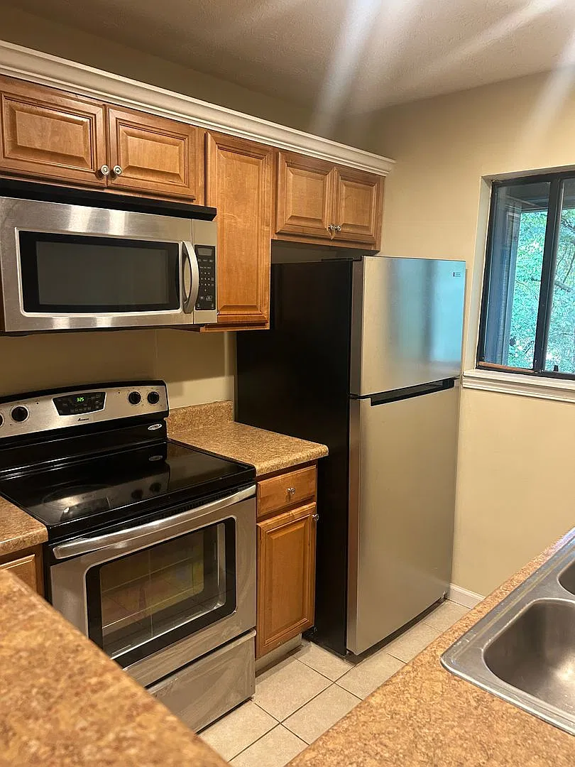 Campus View Apt-Walking Distance to UGA! — Photo 4