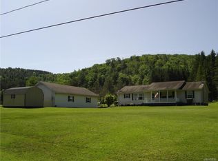 8191 Willow Brook Rd, Little Genesee, NY 14754