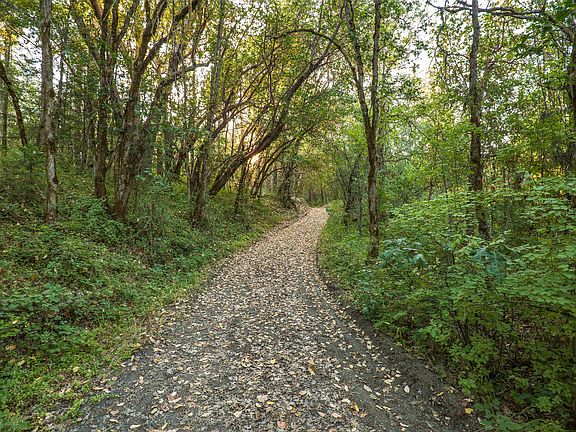 5th image of 2659 Foots Creek L Fork Rd