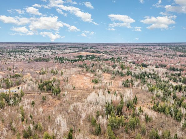 6002 Wildwood Rd, Alger, MI 48610