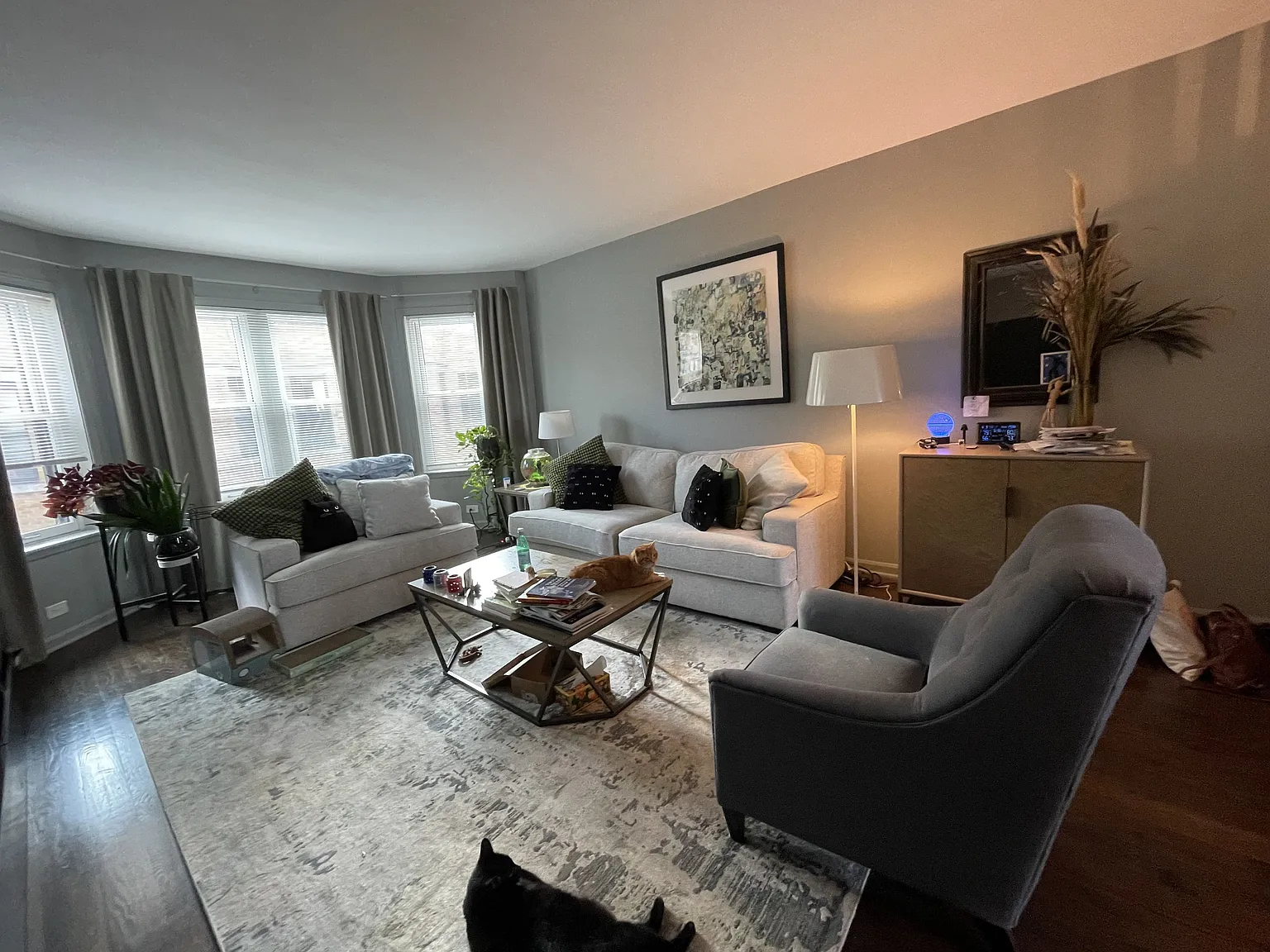 1 bed, 800 sqft, $1,995 — Photo 2