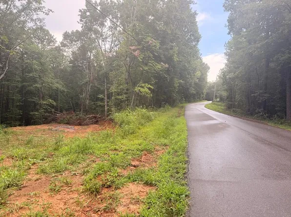 1765 Nugget Ln, Ellijay, GA 30540
