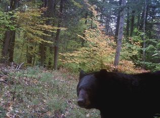 Walker Hill Rd, Erin, NY 14838