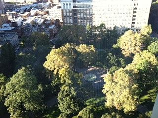 View from window
