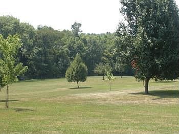5th image of 6073 Alexander Ln