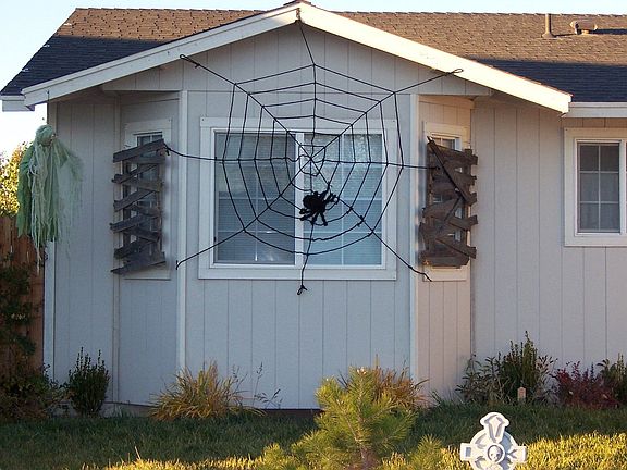 Watch out for spiders