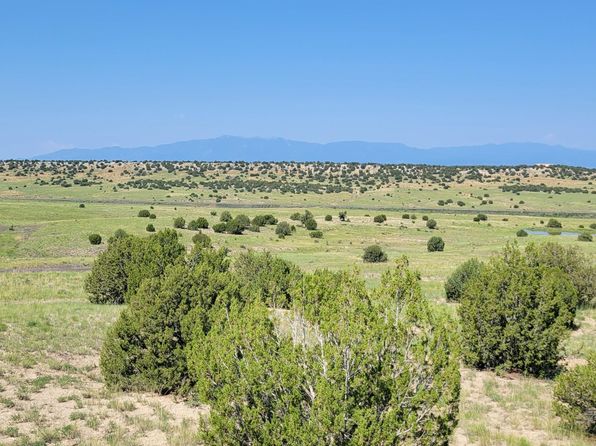 Land for Sale in Colorado Springs - Newest Listings & Information