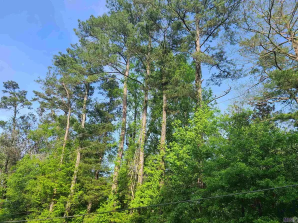 Magnolia Dr, Walker, LA 70785