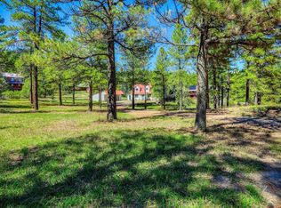 224 Rainbow Drive, Pagosa Springs, CO 81147