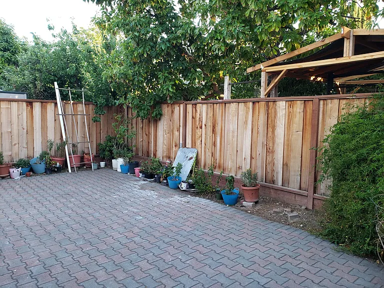 Back yard