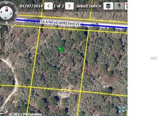 11126 Seattle Wren Ave, Weeki Wachee, FL 34614