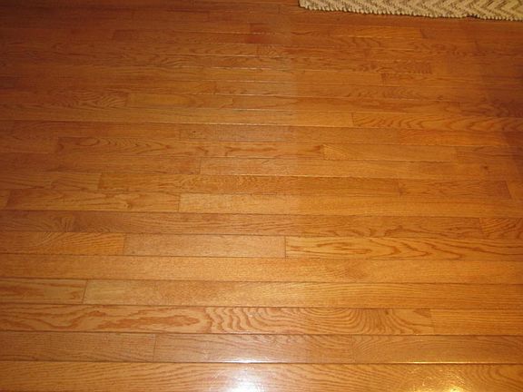 Gorgeous wood floors