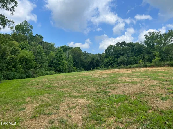 Redwood Ln, Mosheim, TN 37818