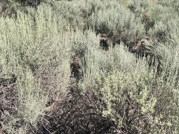 000 Juarez, Fort  Garland, CO 81133