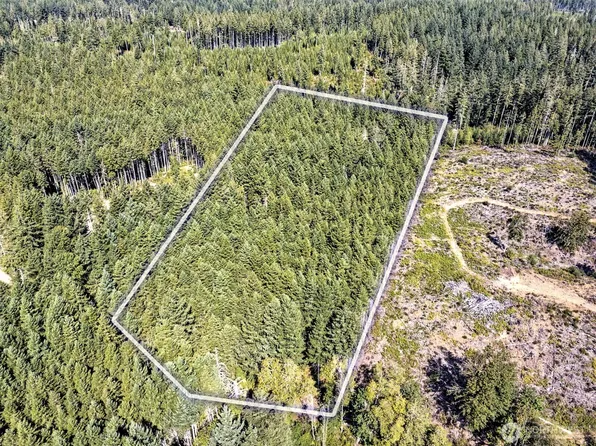 0 Tahuya Valley Drive E, Tahuya, WA 98588