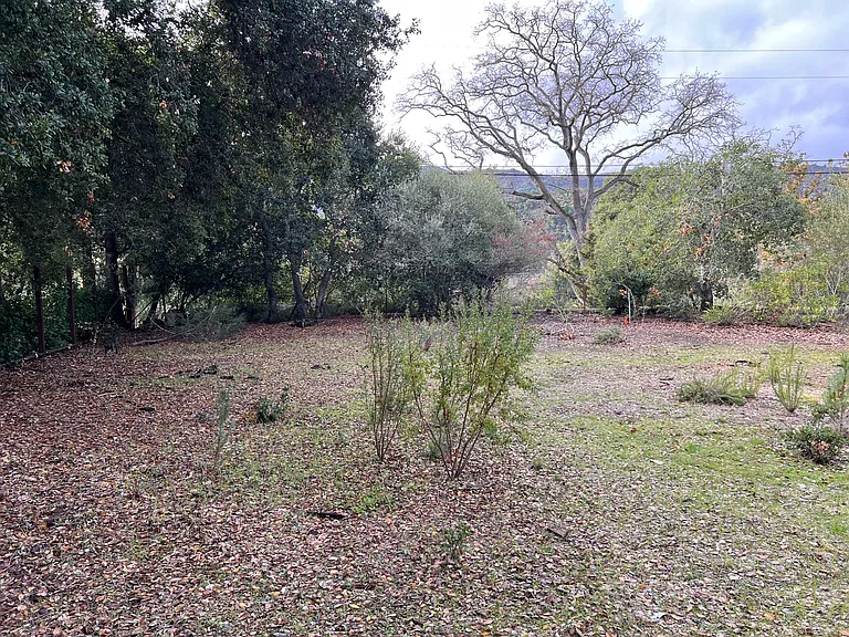 10320 Rolly Rd — Photo 15
