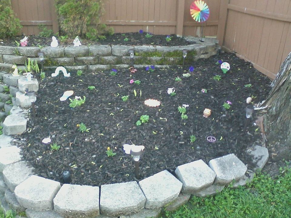 Backyard Scenery