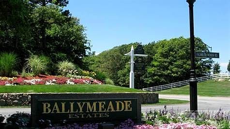 Entrance to Ballymeade