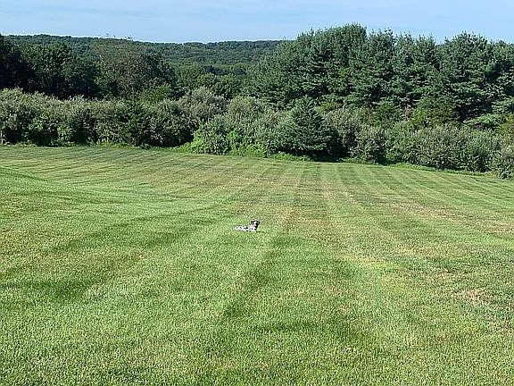 yard