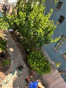 1478 Brighton Ave, Grover Beach, CA, 93433