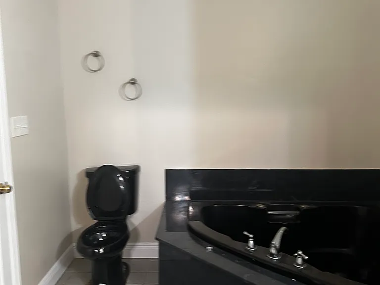 1021 Henriette Delille St — Photo 12