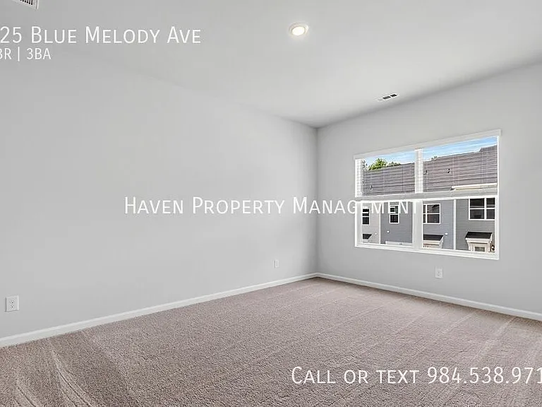 125 Blue Melody Ave — Photo 22