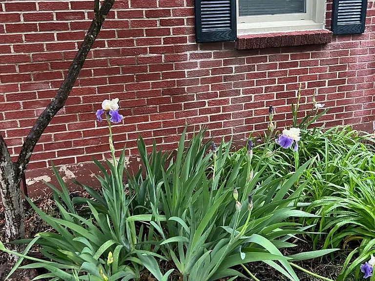 1033 E Kingsbury St — Photo 3