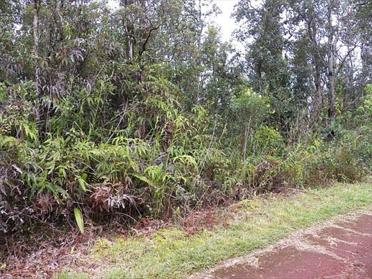 2nd image of Lanai St Lot 741