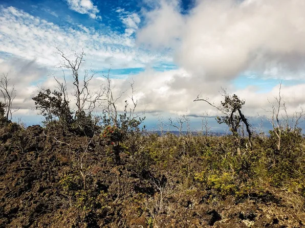 Poinciana Dr Lot 5, Ocean View, HI 96737