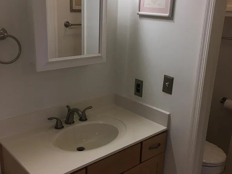 1025 Lake Shadow Dr — Photo 41