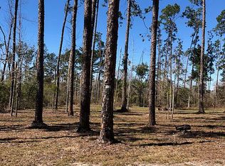 LOT 11 Lakeview Dr, Donalsonville, GA 39845
