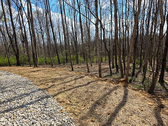 4th image of 0 Dennis Rd Tract 1